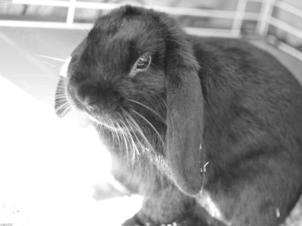 គន្លឹះសម្រាប់ការបង្កើតហ្គេមស្លុតយ៉ាងច្នៃប្រឌិត